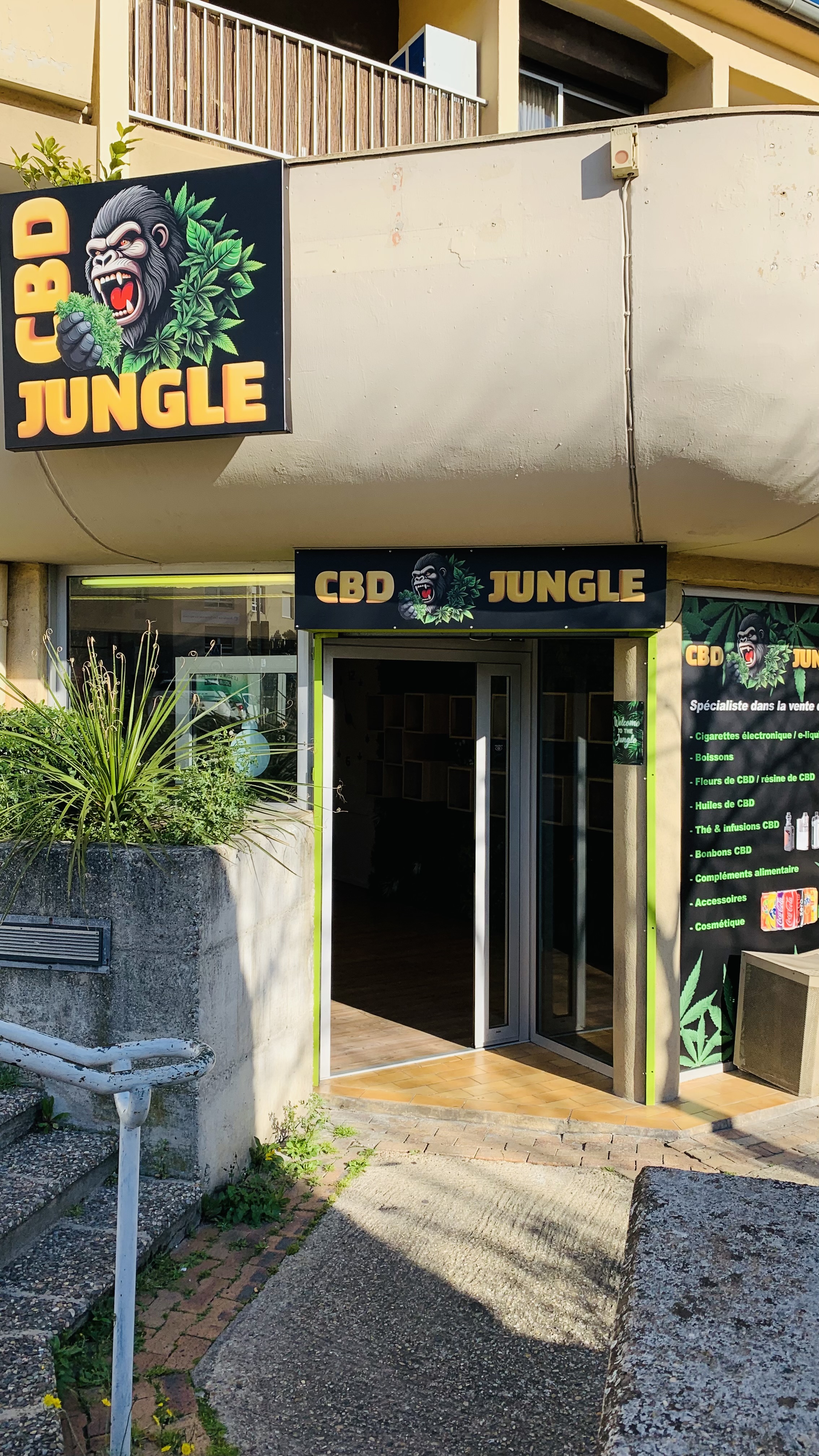 Histoire de CBD Jungle au Pontet